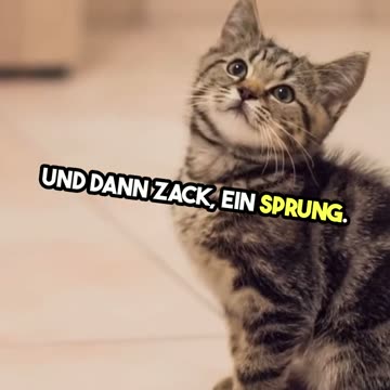 Kater Fritz und seine Abenteuer im Weltraum