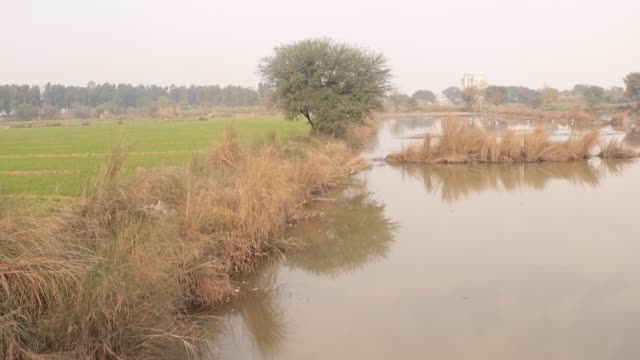 Water and Water every where after Rain