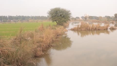 Water and Water every where after Rain