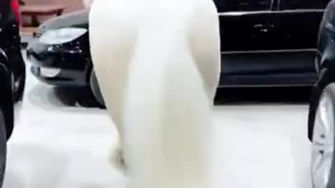 0.😍 from tiktok @0o0_0257 #shorts