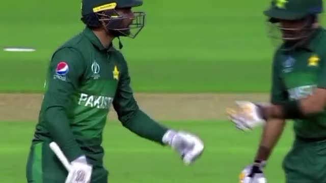 cricket fans-video cricket lovers-video #cricket #cricketlover