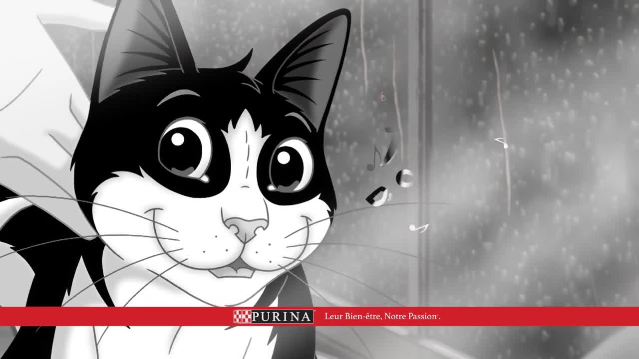 FELIX® C'est si bon d'être un chat - Temps de pluie