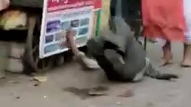 Drunkman Funny video 😂😂😂