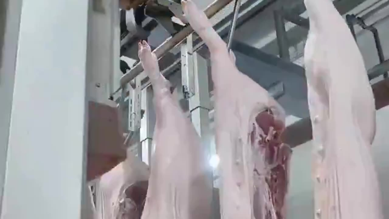 Pig Meat Factory