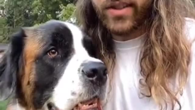 Latest Dog training #shorts #dogtraining #dogs