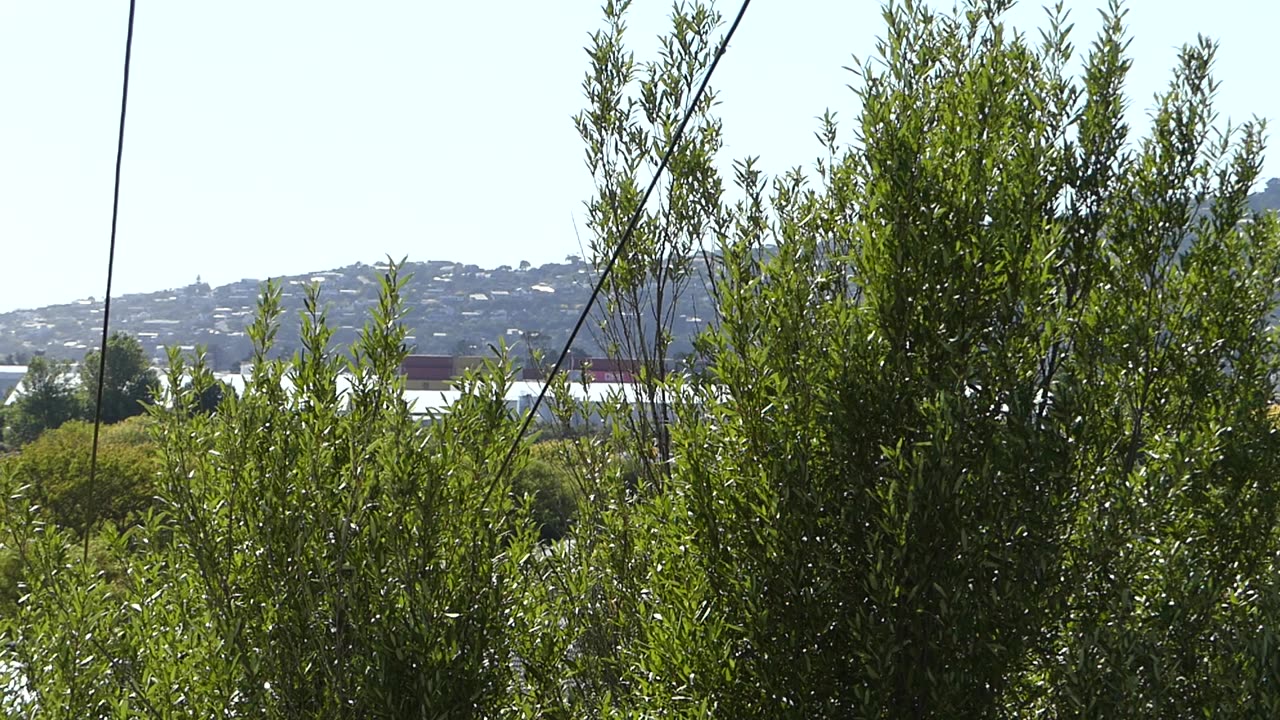 Ecological Warfare Nano Metallics Aluminium Neurotoxins Agent Orange sprayed over New Zealand