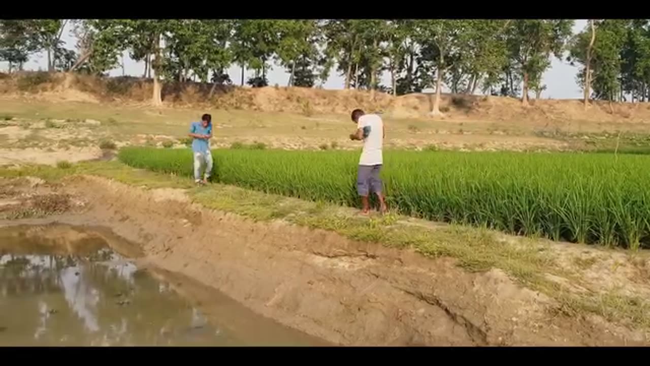 Video funny