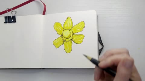 Daffodil process using brush markers