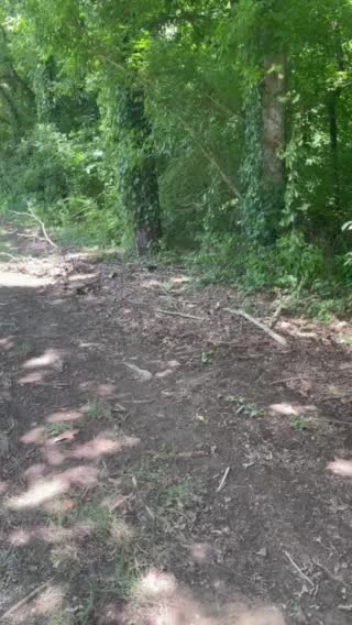 It’s sad people throw their trash out on the road!