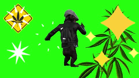 Stoned Monkey