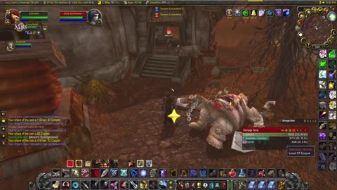 World of Warcraft Classic Hunter with Paladin (wife) questing in Azeroth