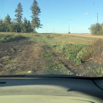 driving around in tim's new minivan