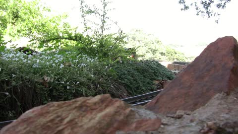 Avontuur Light Railway Garrett