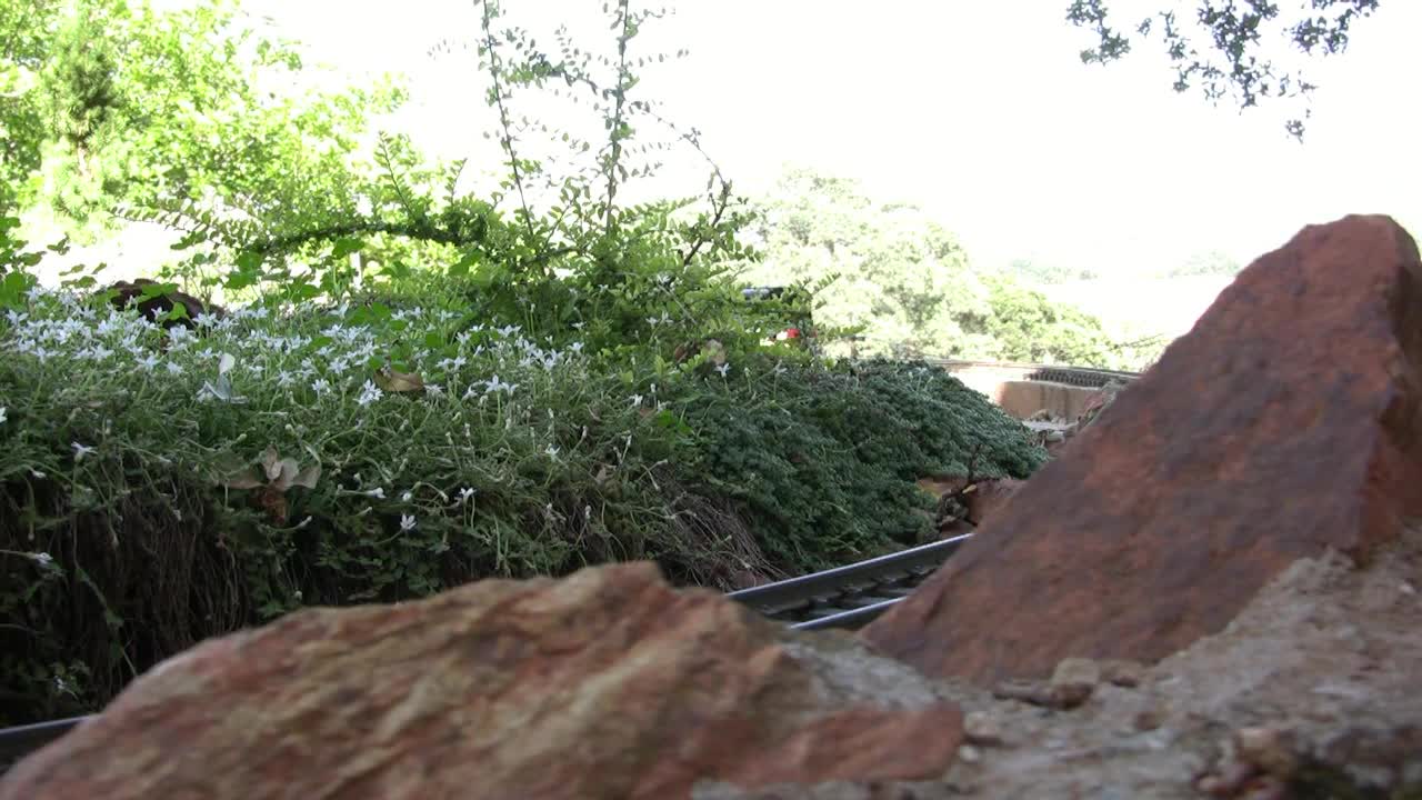 Avontuur Light Railway Garrett