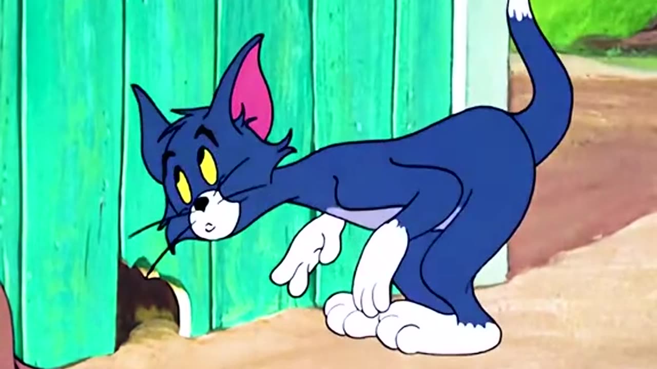 Tom&jerry funny videos👌🤣