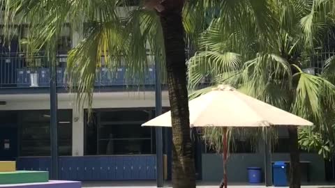 UNIS hanoi international school