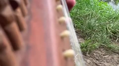 Rabab music