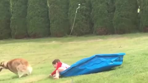Funny child playing with dog