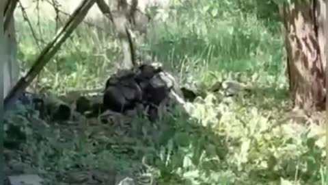 V první linii bojů o Seveodoněck proti ukrajinským nacistům by nasazen čečenský specnaz