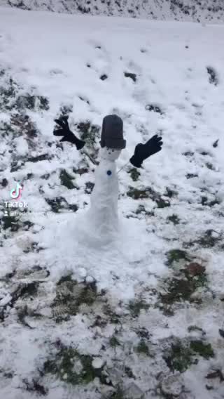 My snow man