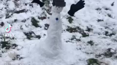 My snow man