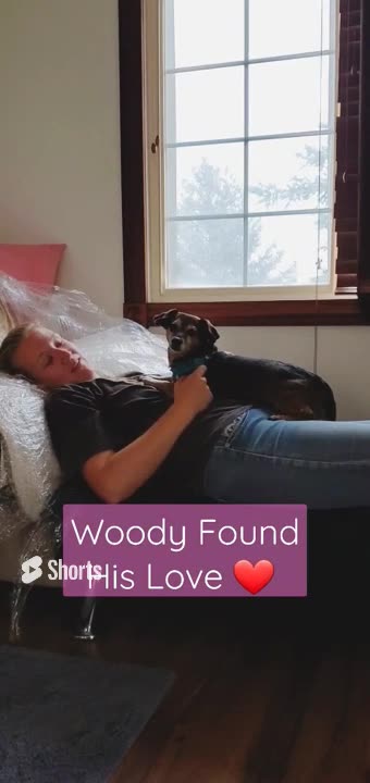 Woody Finds His Love