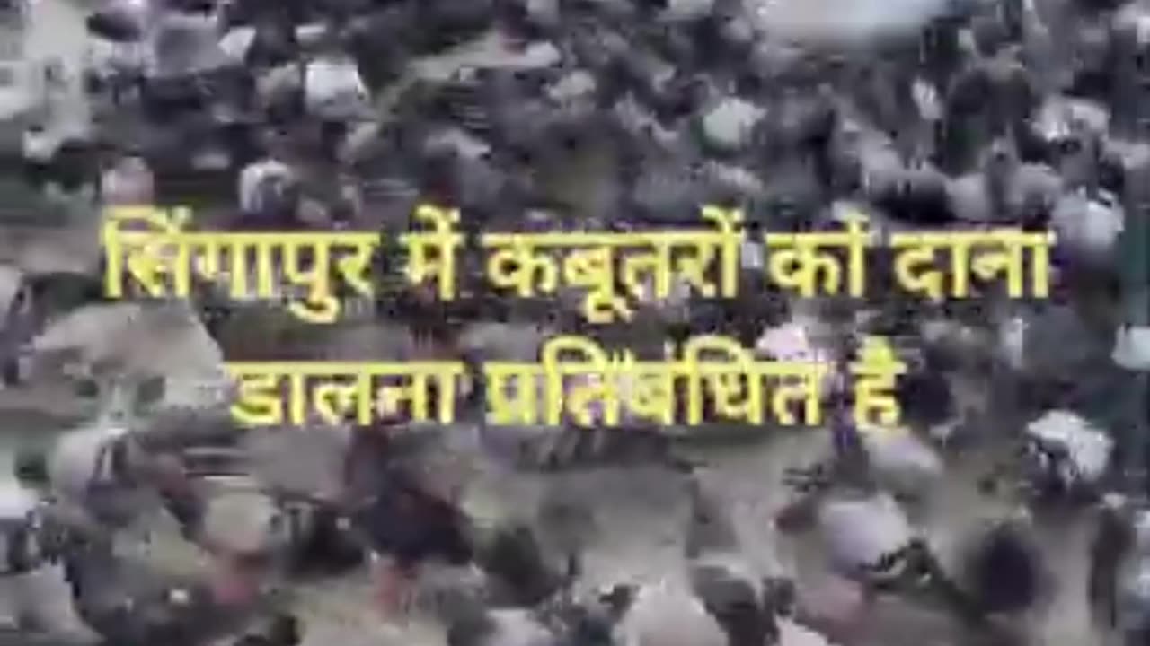 Fact no 34