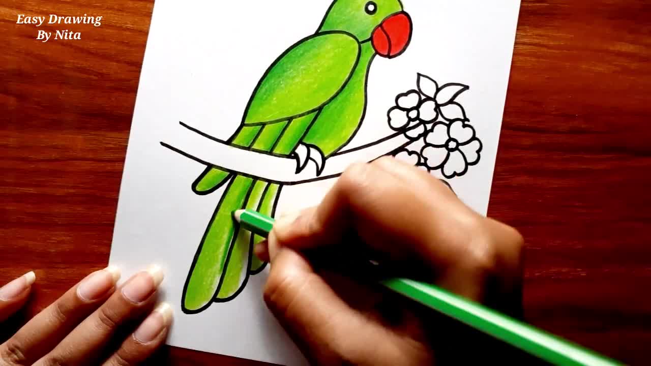 How To Draw Parrot For Beginners -- Parrot Drawing Colour -- Parrot Drawing Tutorial -- Bird Drawing