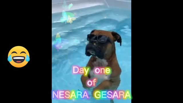 That beautiful day when NESARA GESARA starts!!