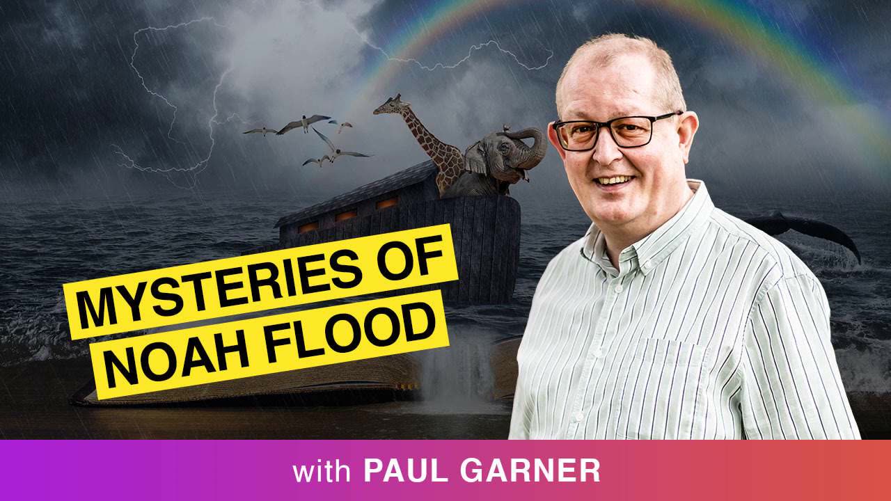 🌍 Mysteries Of Noah And The Flood | Using Fossils To Retrace History 🦕