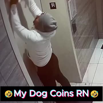 💹🟢My Doggo Coins Rn🤪😂🤣 #hosky #boink #dogecoin #floki #shiba