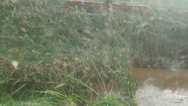 Weedcutting video
