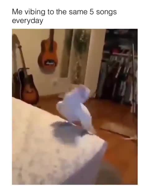 anyone else what’s your favorite song right