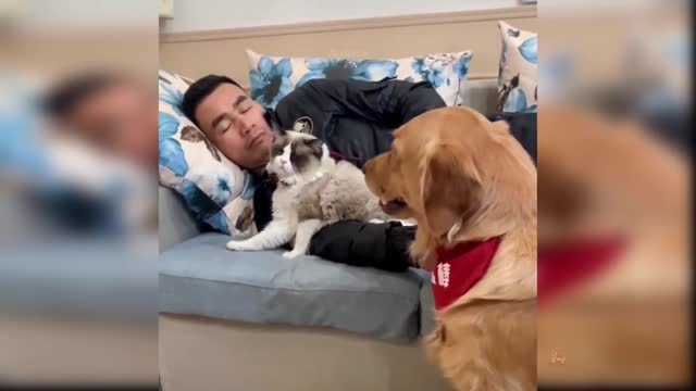 Cute ,Funny and clever baby dog Videos Compilation