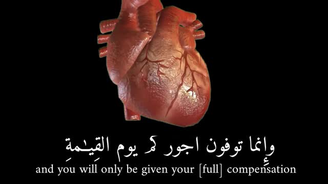 Every soul will taste death