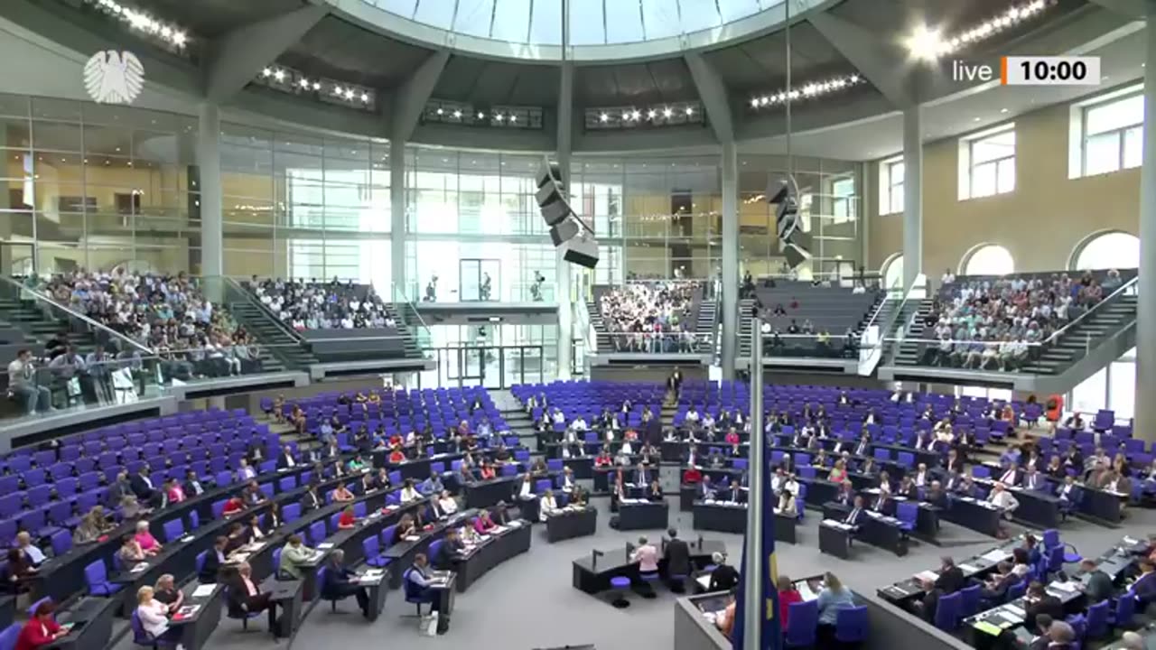 Der Weidel-Hammer- Bei dieser Rede tobte der Bundestag! - AfD - Alice Weidel
