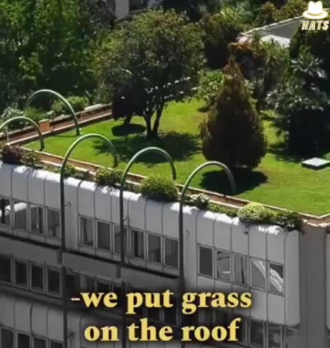 The idea that modern architecture is environmentally friendly is a lie