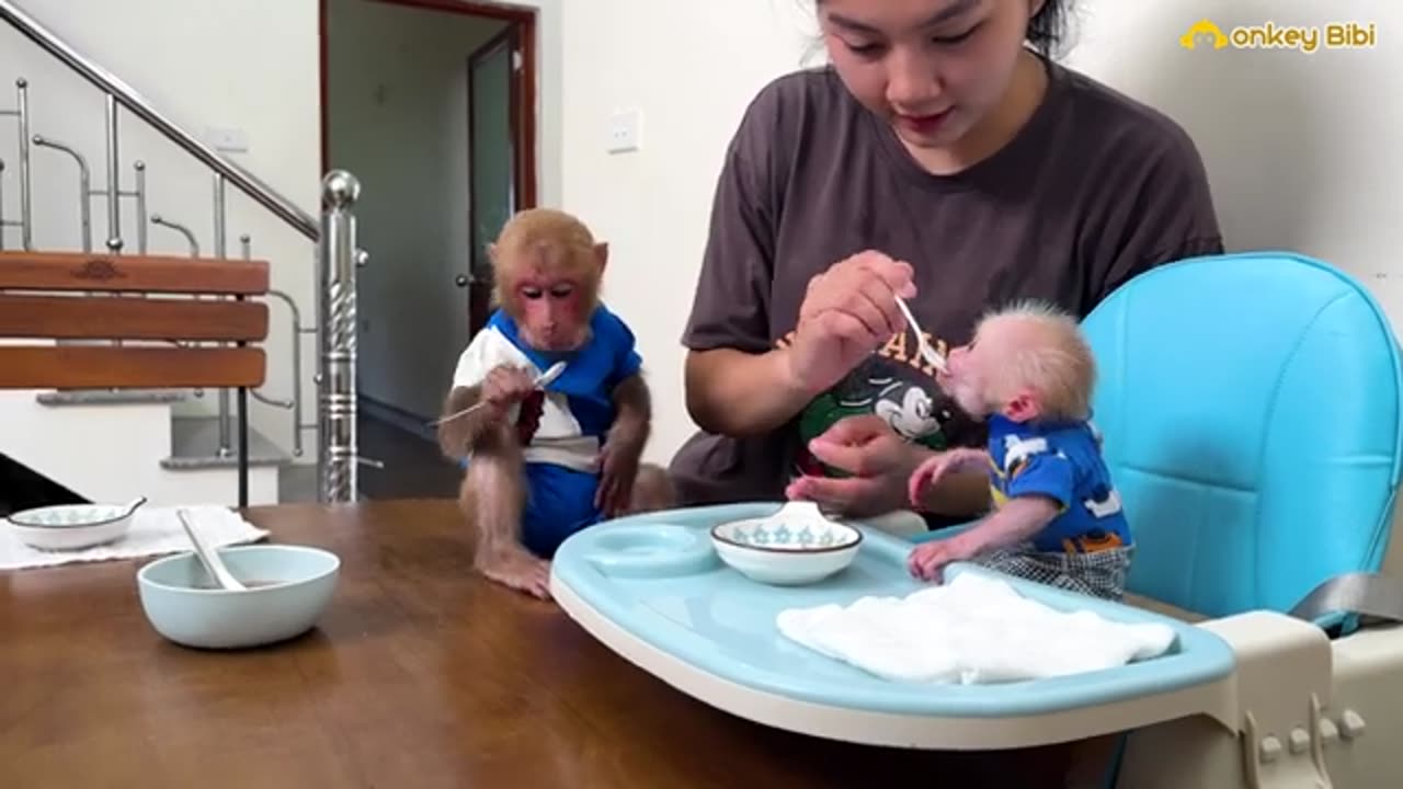 Bibi_and_the_baby_monkey_enjoy_a_simple_soup_but_full_of_Mom_s_love!(360p)