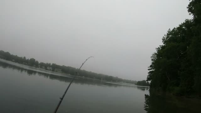 Morning Bass Double Whammy