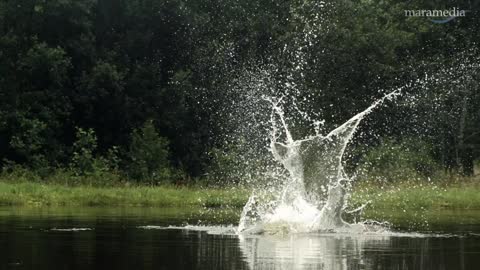 An osprey fishing in spectacular super slow motion | Highlands - Scotland's Wild Heart