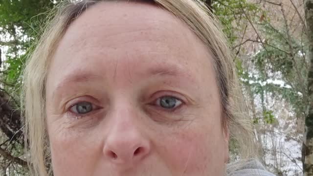 dog walk diary 1