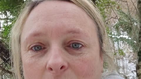 dog walk diary 1