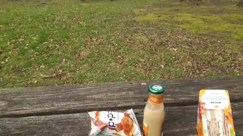 Snack time. Dartmoor POSTBRIDGE