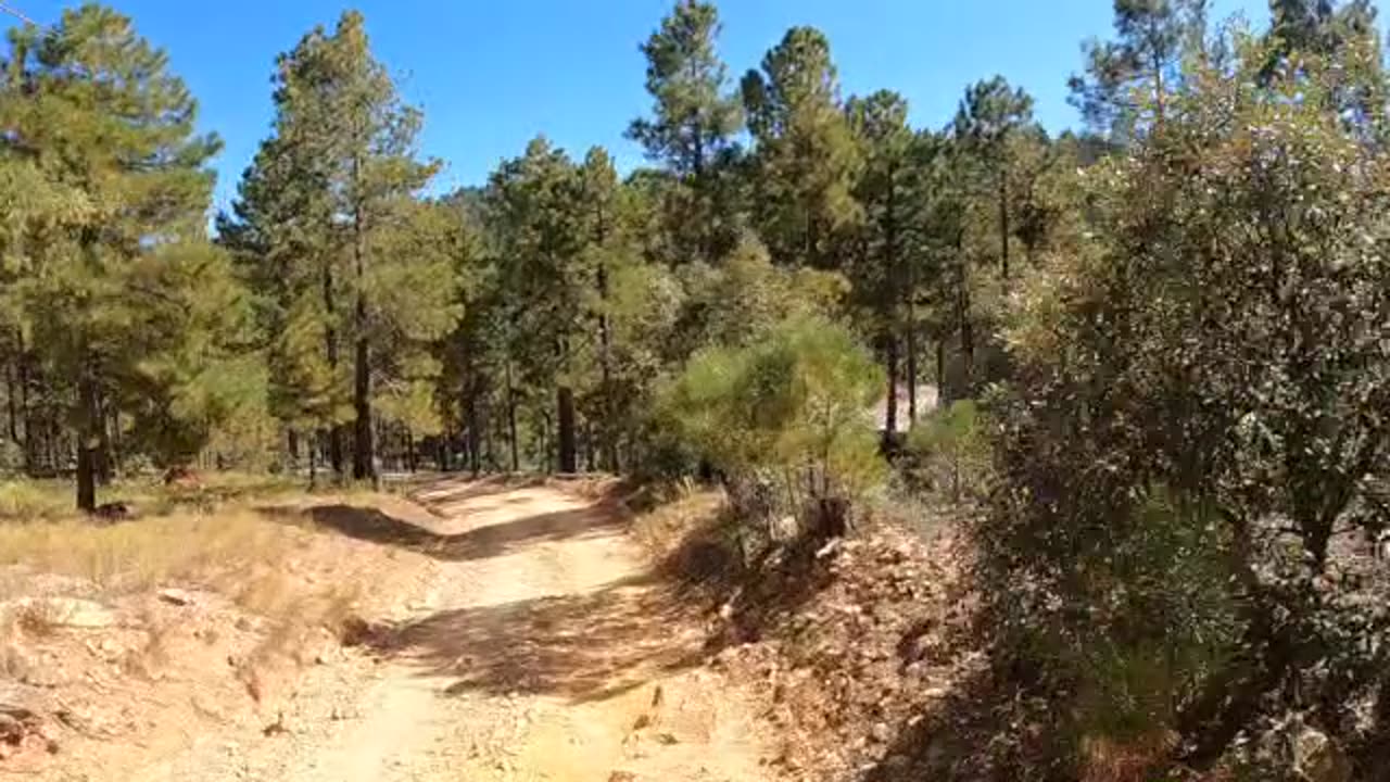 390 MT Lemmon Test