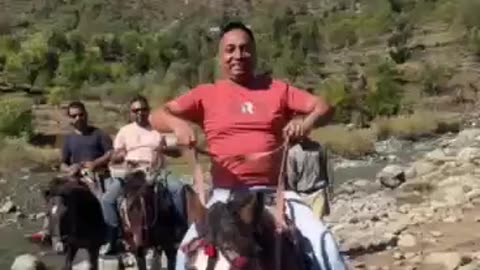 Funny Horse Ride