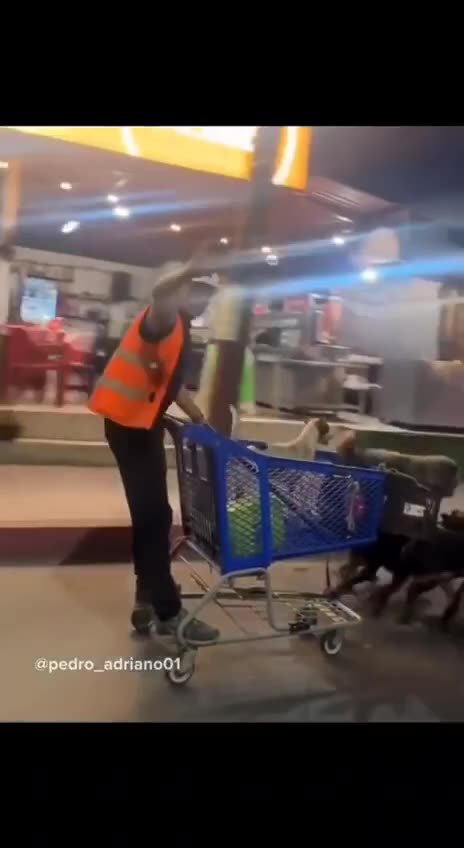 Post EMP transportation.