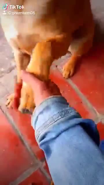 Ung ho kenh nha môi ngioi