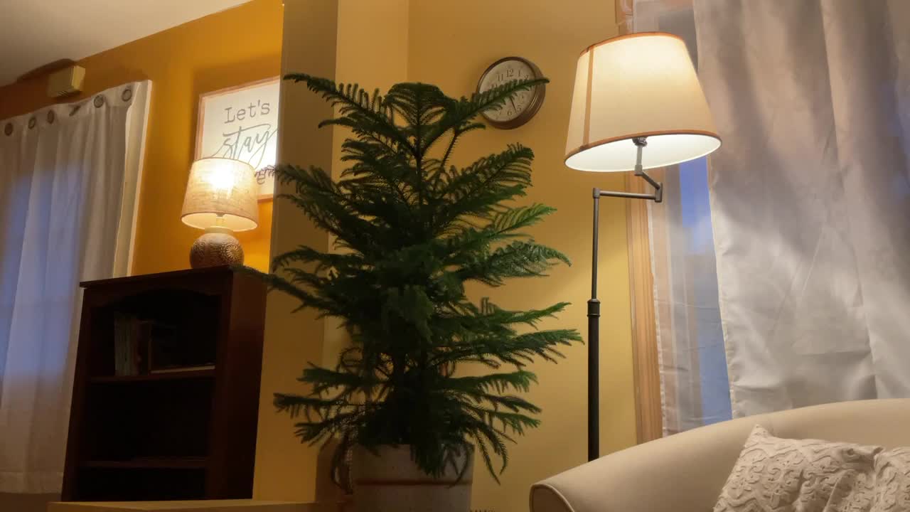 Stories and thoughts ~ #parenting, #indoorgardening, #kimgoguen