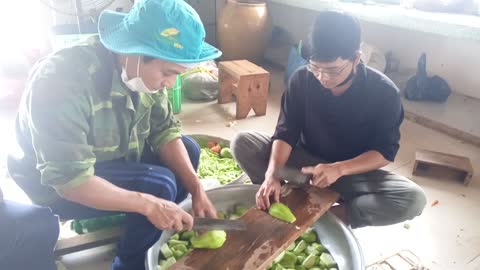 Super big boiled chayote