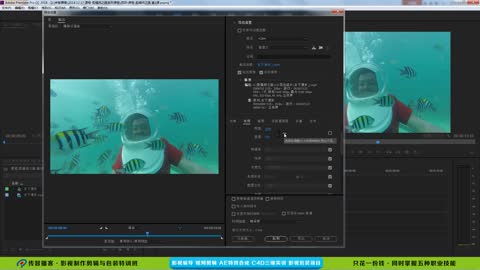 Export into film - export MP4 - parameter setting